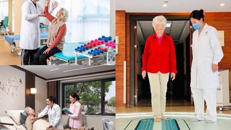 养老护理员证书分级揭秘：如何选择合适的护理人才**